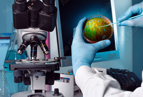 Photo: scientist working at the laboratory scientist working at the laboratory