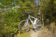 e-bike, pedelec, fahrrad, mountainbike, sommer