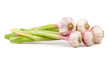 garlic bunch