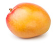 mango one yellow