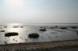 Wattenmeer