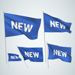 New - blue vector flags