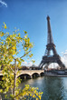 Beautiful view of Eiffel Tower with vegetation
