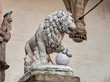 statue of a lion in Florence