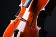 Violin on the black background