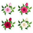 Set of four colored roses. Vector illustration.