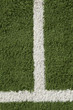 Artificial Lawn & White Stripes