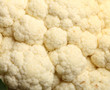 Fresh cauliflower pattern texture background