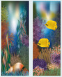 Underwater world  banners with seashell