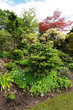 Beautiful spring garden