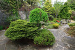 Beautiful Spring Garden