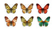 a series of butterflies with wings retro wallpaper
