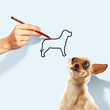 Little funny dog