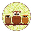 Hand Drawn Cartoon Owls