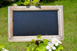 Photo: Alte Schiefertafel Blumen Alte Schiefertafel Blumen