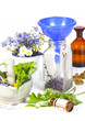 Heilpflanzen, Homöopathie