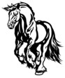 running draft horse black white