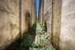Abandoned sugar factory