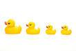 Four ducks in a line