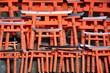 Many torii