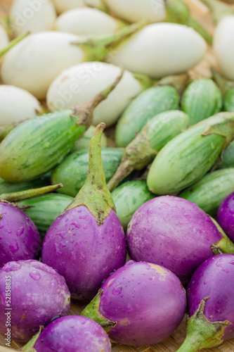 Photo: Various types of Purple eggplant or cockroach berry Various types of Purple eggplant or cockroach berry