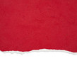 Ripped paper with free space for text