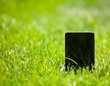 Mobile smart phone in green grass