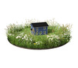House in the lawn