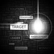 TARGET. Word cloud concept illustration.  
