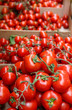 Vine Ripe Tomatoes