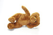 peluche