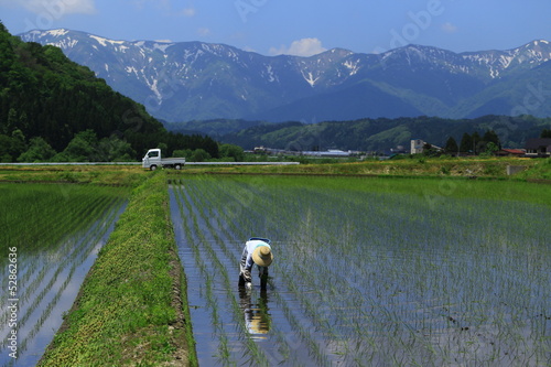 Photo: 田植えの風景 田植えの風景