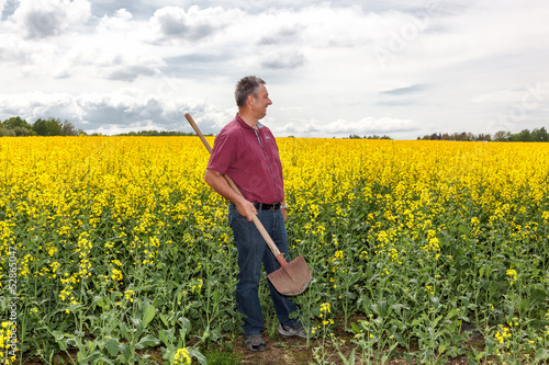 Photo: Farmer in inspection of his rapeseed field Farmer in inspection of his rapeseed field