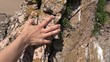 woman hand caressing rock beach