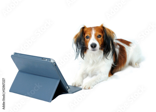 Photo: Cute Dog and a Tablet Cute Dog and a Tablet