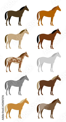 Vector: Set of colorful horses Set of colorful horses