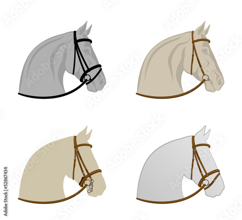 Vector: Horse harness Horse harness