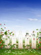 Photo: Strawberry garden Strawberry garden