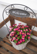 Blumentopf Dekoration - Welcome