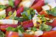 Antipasti - Tomaten und Mozzarella