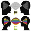 Different perception, creativity versus logic