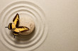Photo: Zen stone with butterfly Zen stone with butterfly