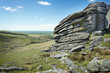 Wild British Landscape