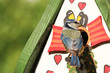 Blaumeise am Vogelhaus, blue tit