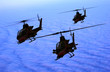 The helicopter