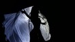 Woman Into Veil Silhouette