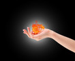 energia del fuoco