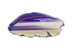 Gemstone