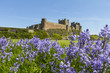 Bamburgh Castle