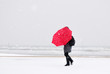 person with red umbrella in snow storm
